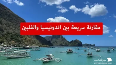 مقارنة سريعة بين اندونيسيا والفلبين