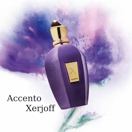 عطر اكسنتو من زير جوف