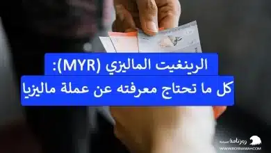 الرينغيت الماليزي (MYR): كل ما تحتاج معرفته عن عملة ماليزيا