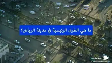 ما هي الطرق الرئيسية في مدينة الرياض؟
